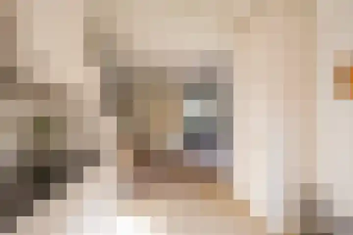 Havenstraat 4 Nijkerk thumbnail 10