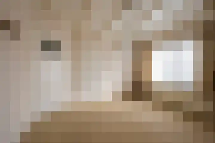 Havenstraat 4 Nijkerk thumbnail 21