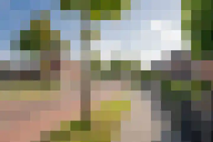 Havenstraat 4 Nijkerk thumbnail 35