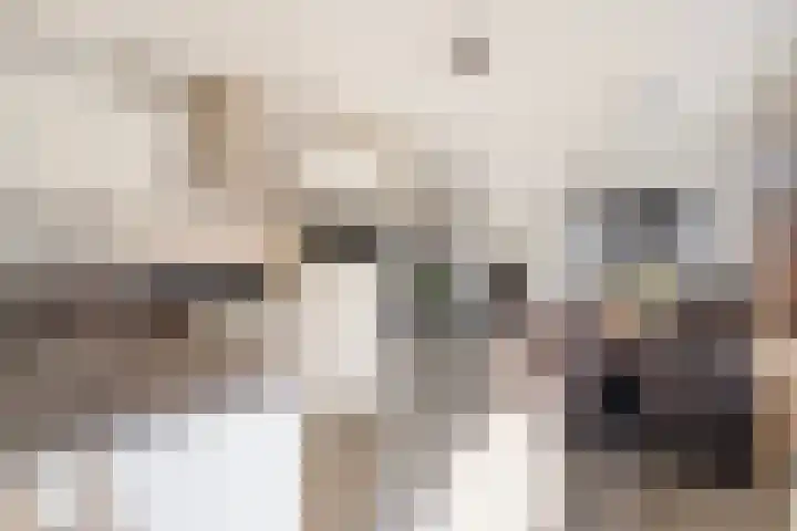 Havenstraat 5 C Monster thumbnail 10