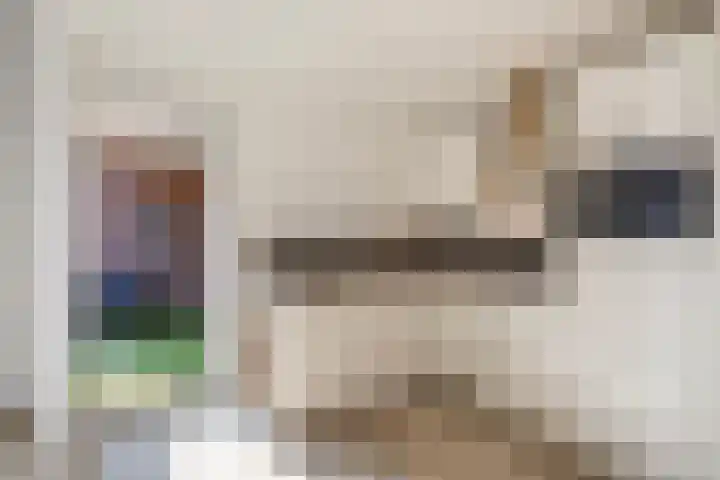 Havenstraat 5 C Monster thumbnail 11