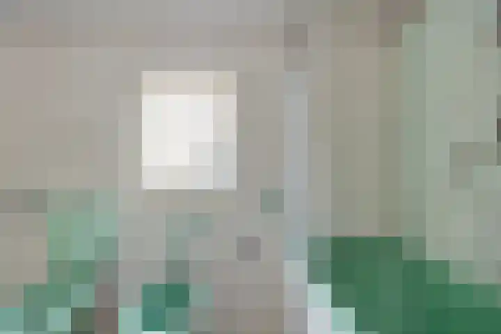 Havenstraat 7 Stein thumbnail 25