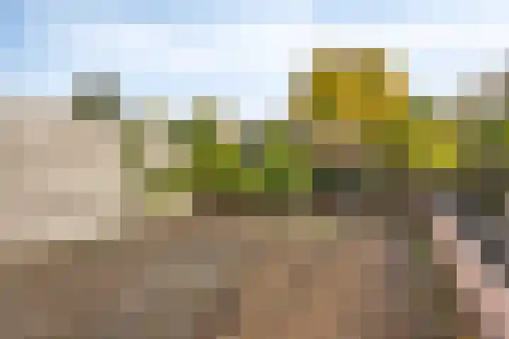 Havenstraat 7 Stein thumbnail 28