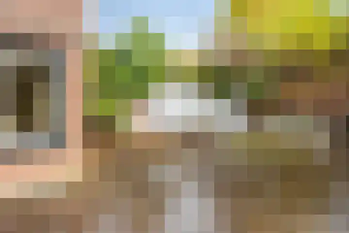 Havenstraat 7 Stein thumbnail 30