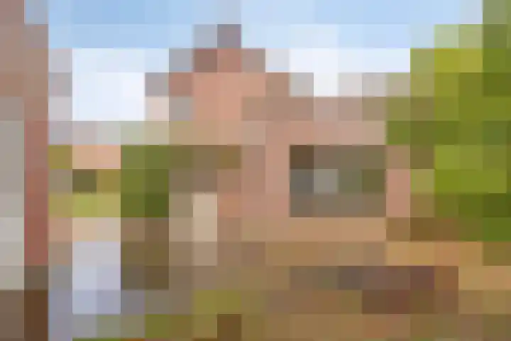 Havenstraat 7 Stein thumbnail 31