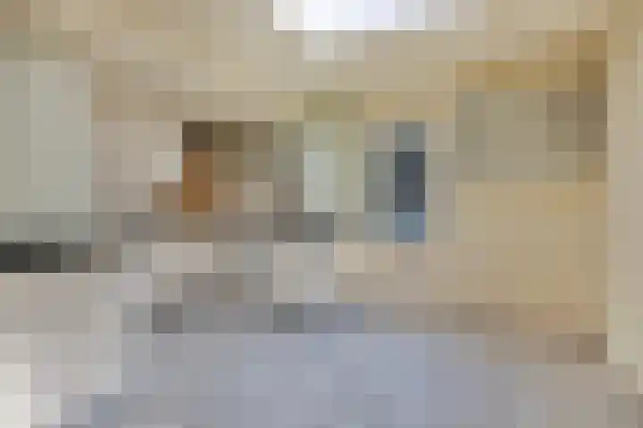 Havenstraat 7 Stein thumbnail 4