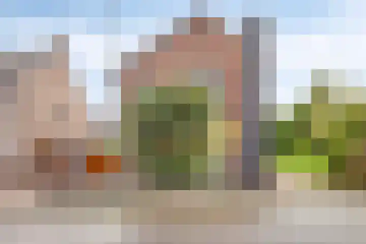 Havenstraat 7 Stein thumbnail 7