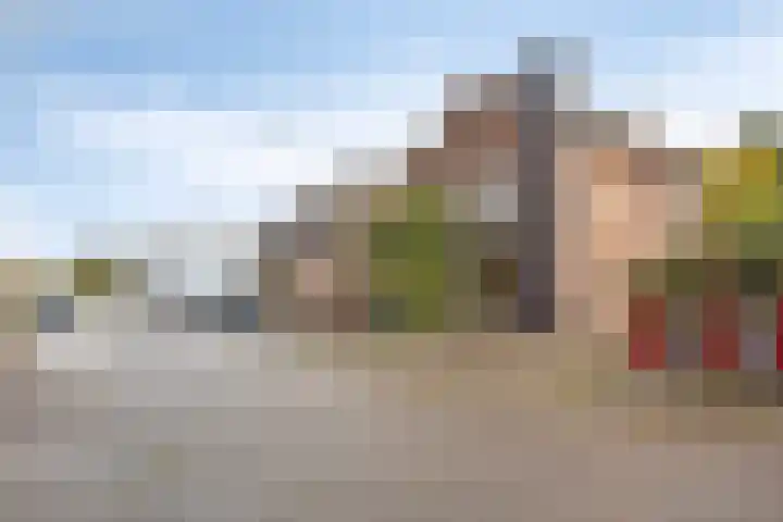 Havenstraat 7 Stein thumbnail 8