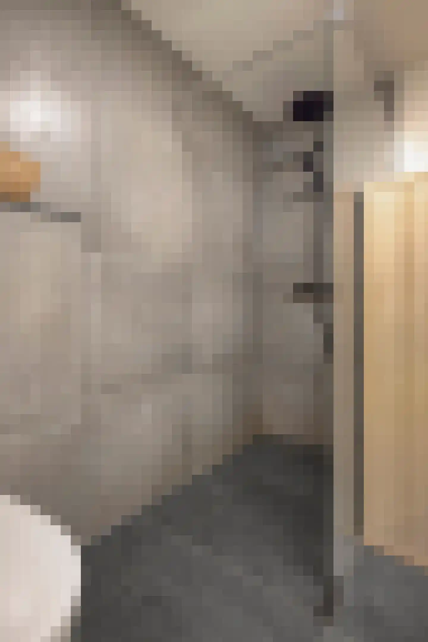 Havenstraat 9 Urmond thumbnail 24