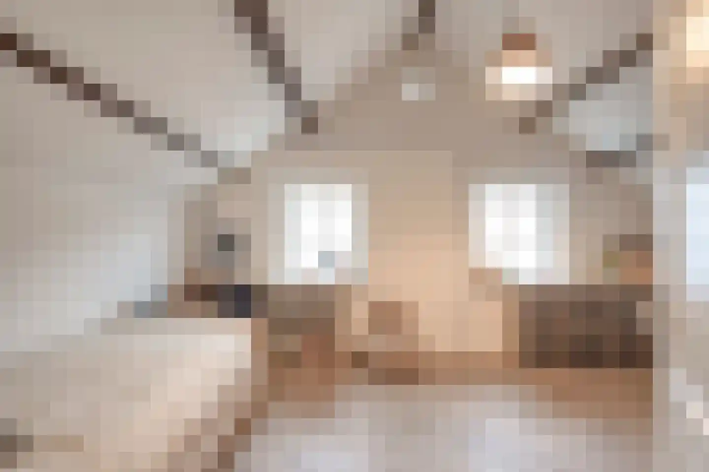 Havenstraat 9 Urmond thumbnail 34