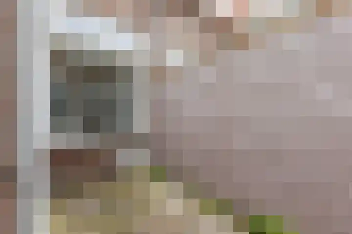 Havenstraatse Wal 27 Schoonhoven thumbnail 27