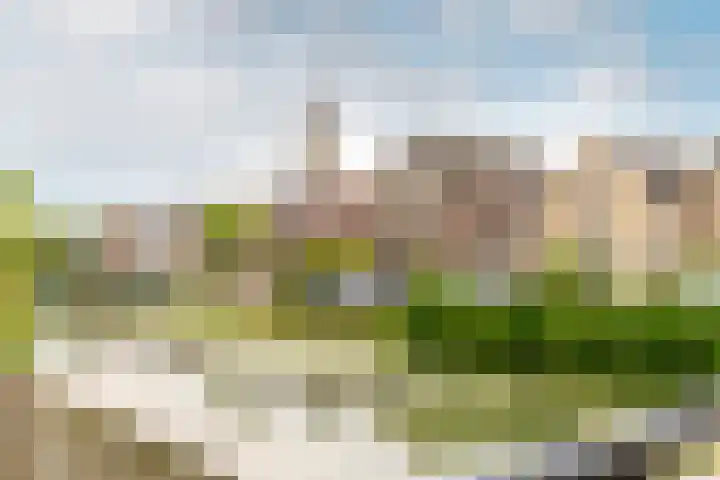 Havenstraatse Wal 27 Schoonhoven thumbnail 36