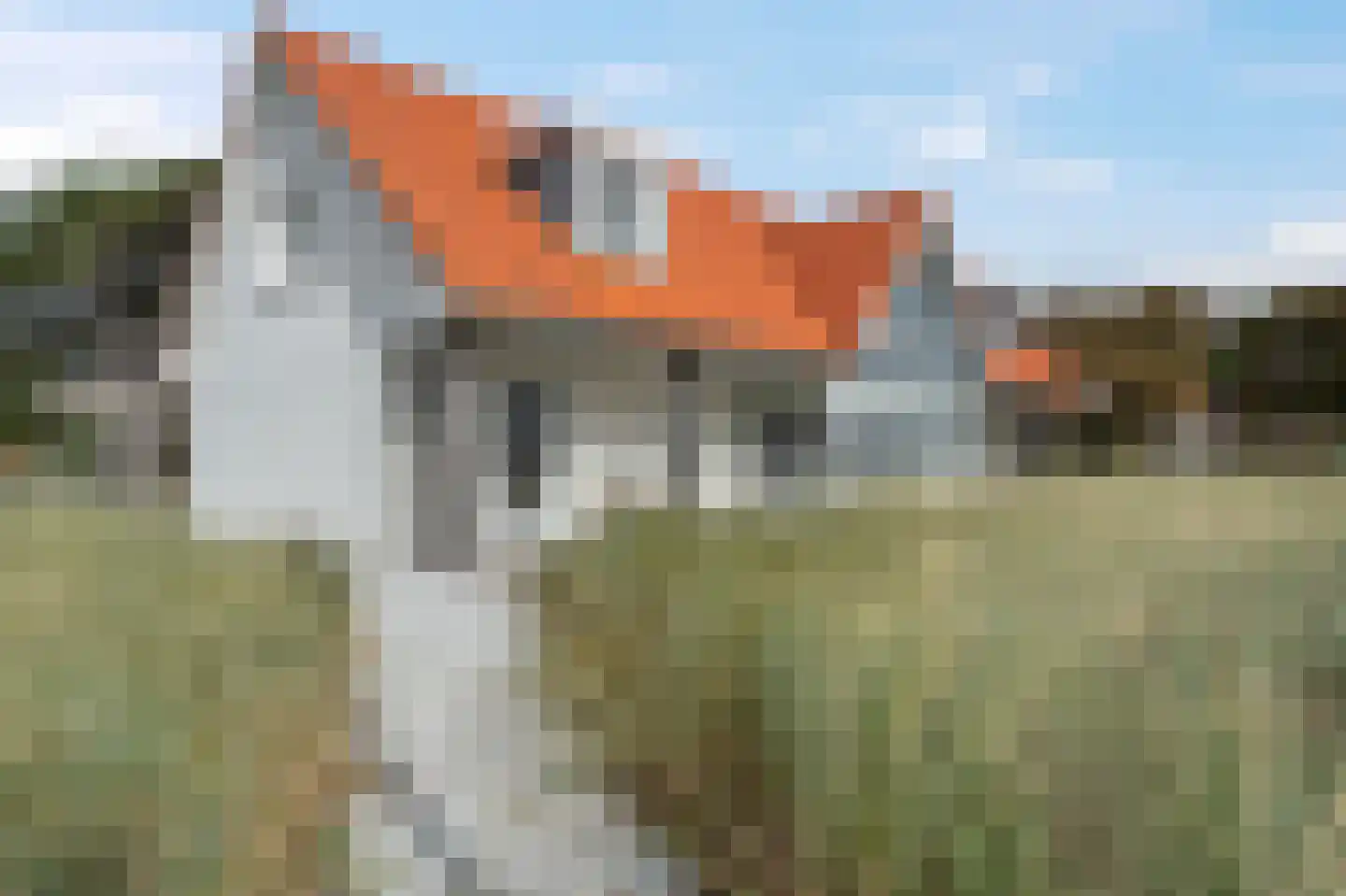 Havenweg 16 A in Vlieland