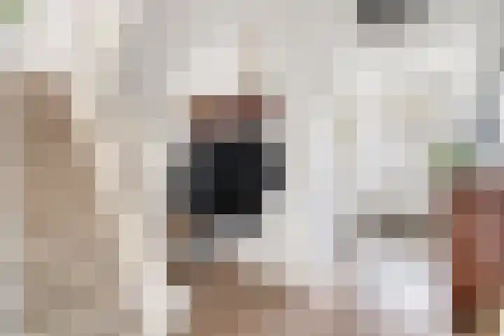 Havenweg 2 Ouddorp thumbnail 4