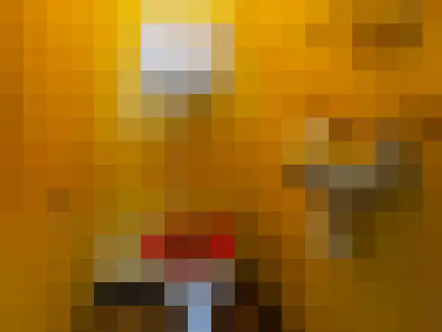 Havenweg 28 Buchten thumbnail 8