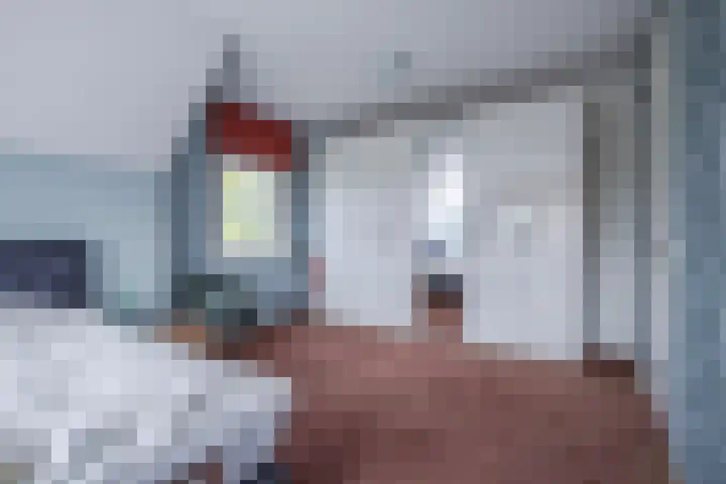 Havenweg 3 Giesbeek thumbnail 27