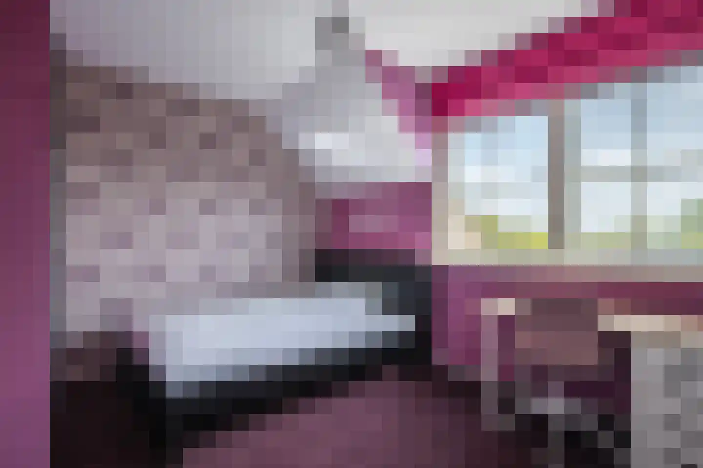Havenweg 3 Giesbeek thumbnail 30
