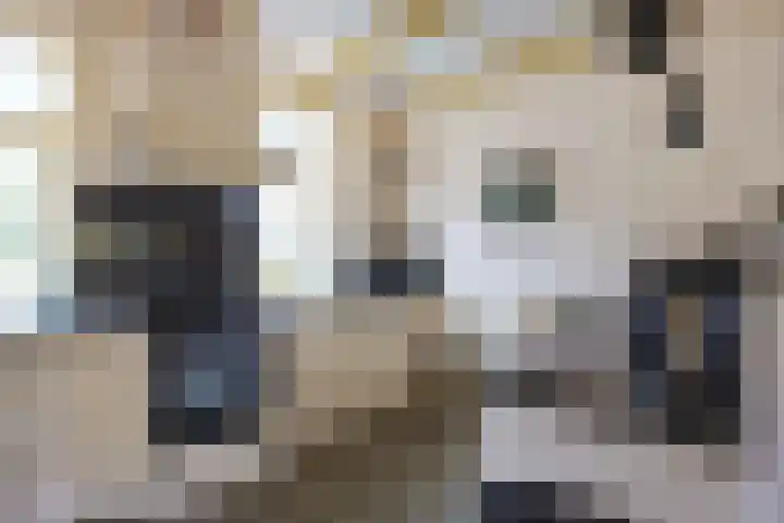 Havenweg 4 Baflo thumbnail 20