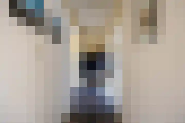 Havenweg 4 Baflo thumbnail 38