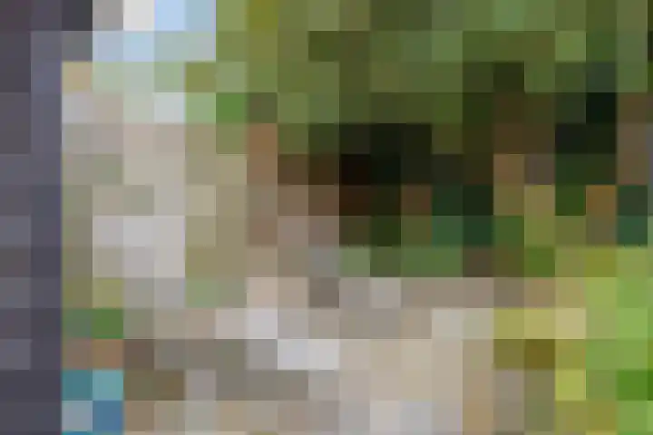 Havenweg 4 Baflo thumbnail 57