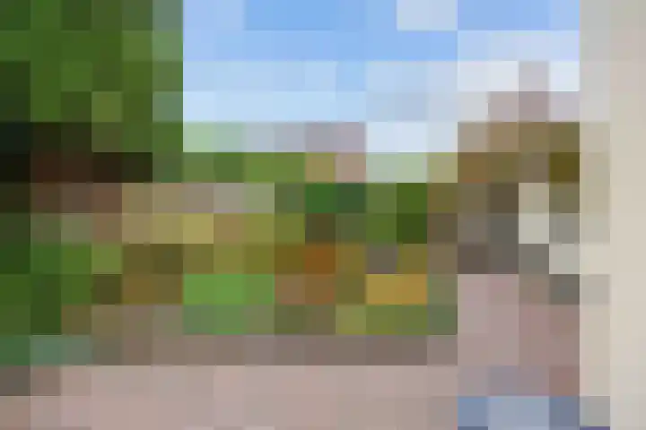 Havenweg 4 Baflo thumbnail 61