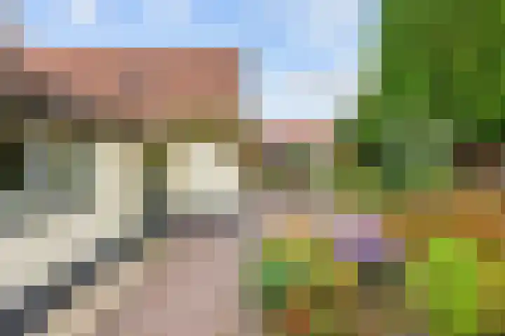 Havenweg 4 Baflo thumbnail 62
