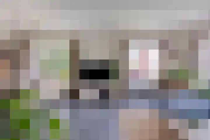 Havenweg 6 Aarle-Rixtel thumbnail 4