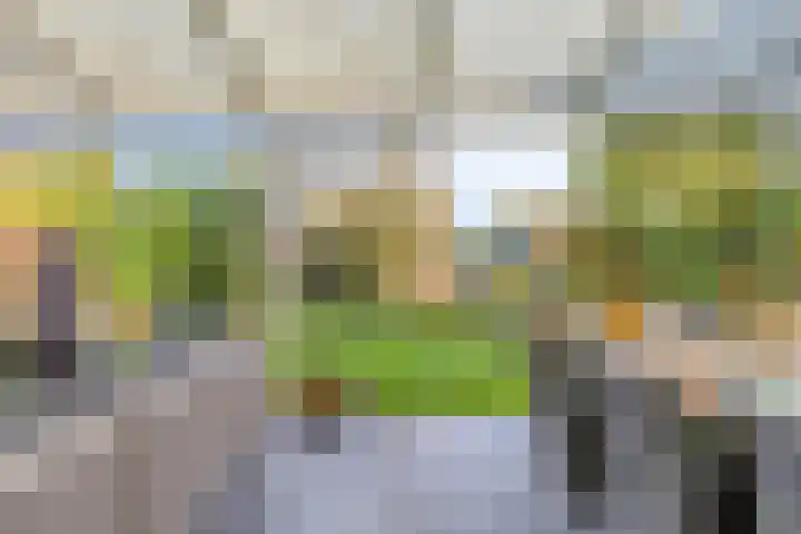 Havenweg 6 Aarle-Rixtel thumbnail 42