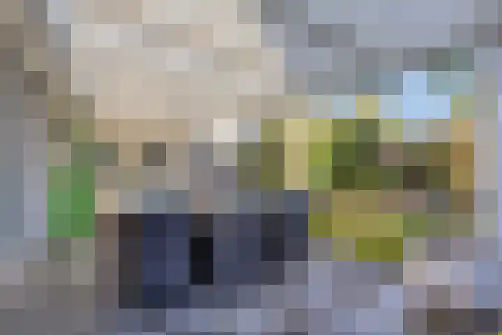 Havenweg 6 Aarle-Rixtel thumbnail 43