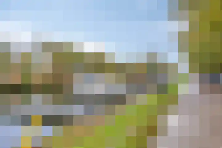 Havenweg 6 Aarle-Rixtel thumbnail 47