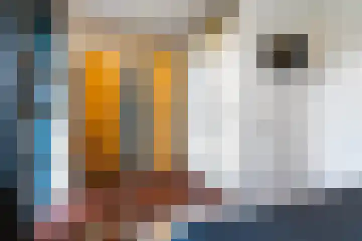 Havenweg 6 Stavoren thumbnail 10