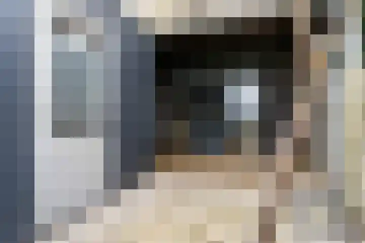 Havenweg 6 Stavoren thumbnail 11