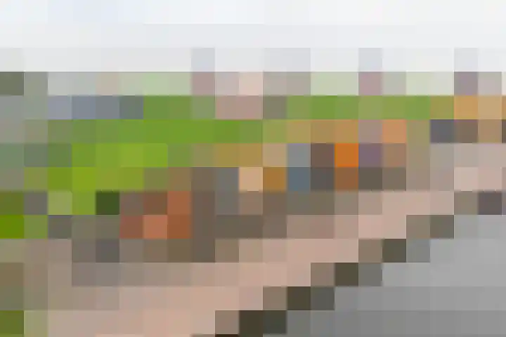 Havenweg 6 Stavoren thumbnail 50