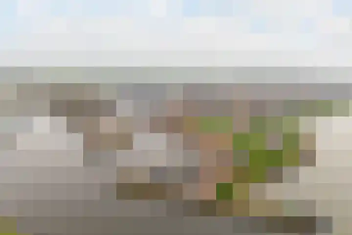 Havenweg 6 Stavoren thumbnail 57