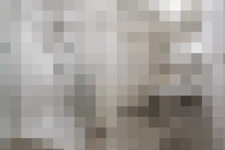 Havenweg 6 Stavoren thumbnail 7