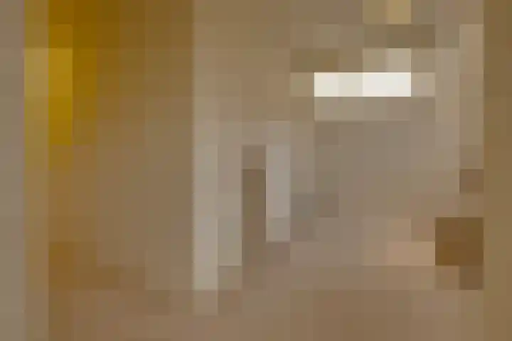 Havenweg 88 Buchten thumbnail 23