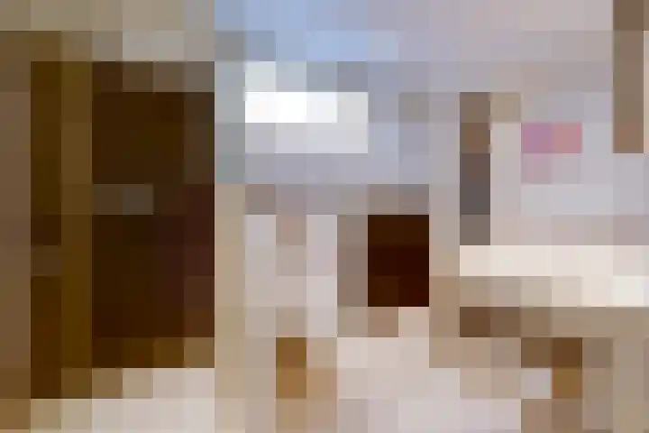 Havenweg 88 Buchten thumbnail 27