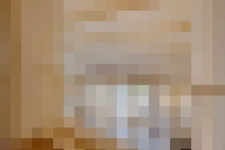 Havenweg 88 Buchten thumbnail 32