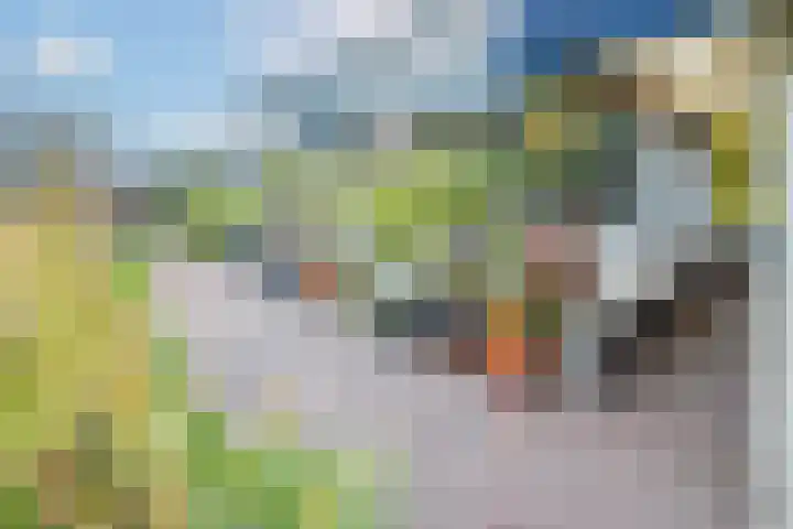 Havenweg 88 Buchten thumbnail 41