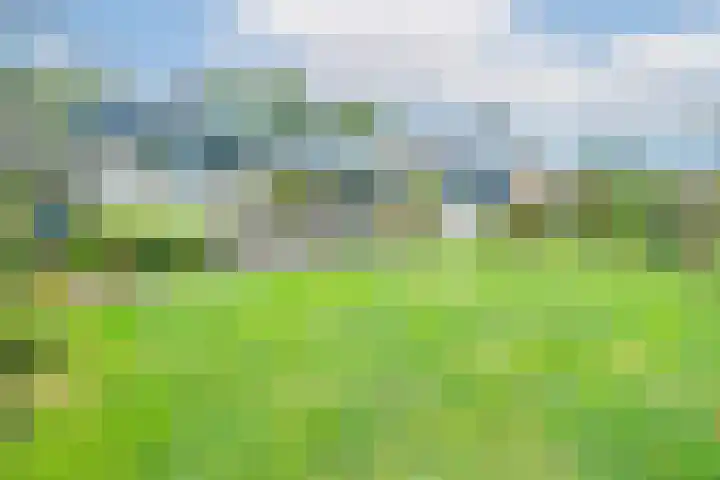 Havenweg 88 Buchten thumbnail 43