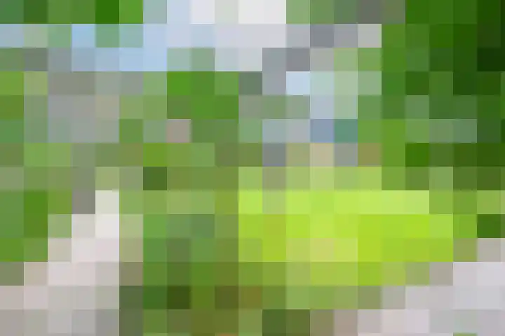 Havenweg 88 Buchten thumbnail 44