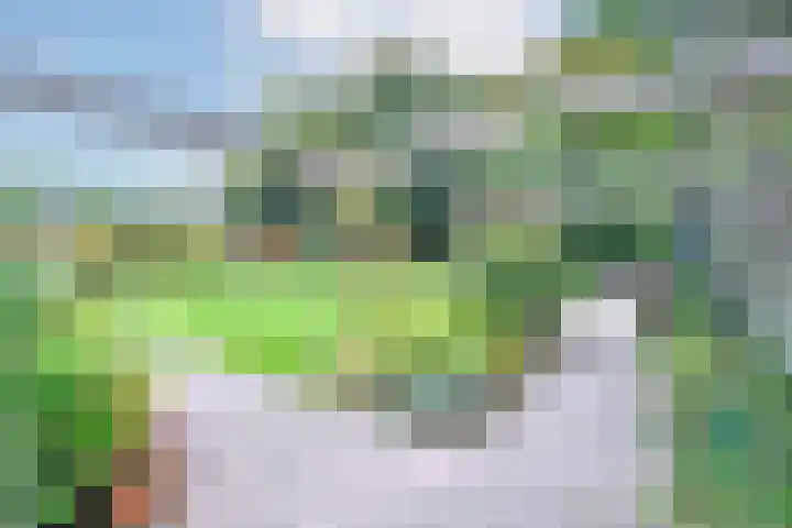 Havenweg 88 Buchten thumbnail 48