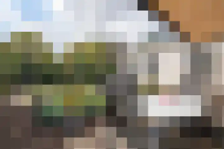 Haver 30 Malden thumbnail 37