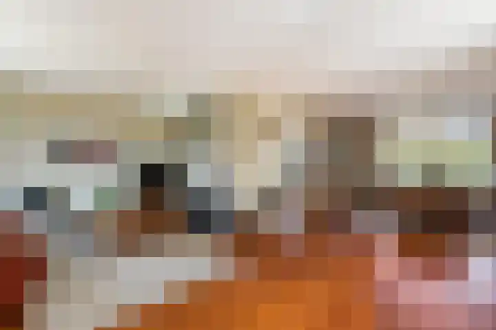 Haver 6 Borne thumbnail 11
