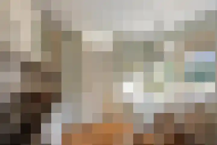 Haver 6 Borne thumbnail 14
