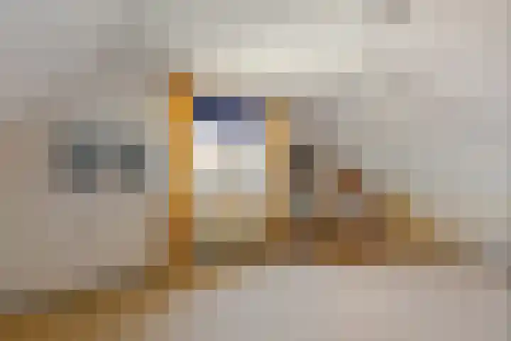 Haver 6 Borne thumbnail 19