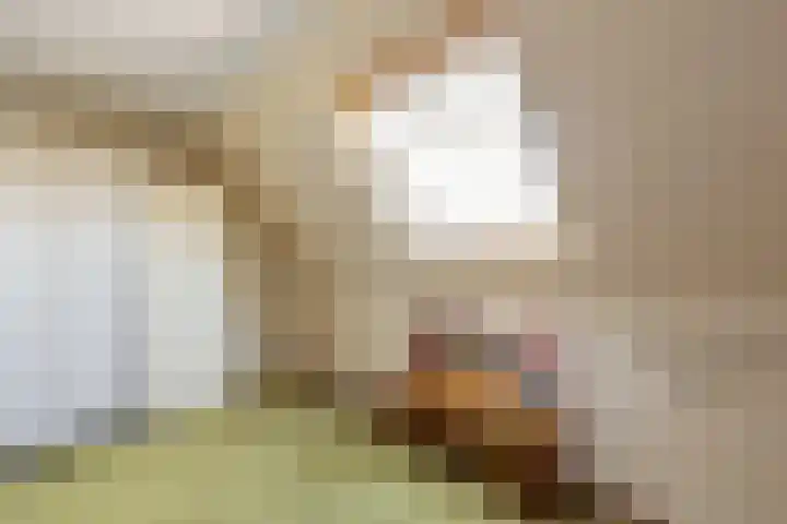 Haver 6 Borne thumbnail 20