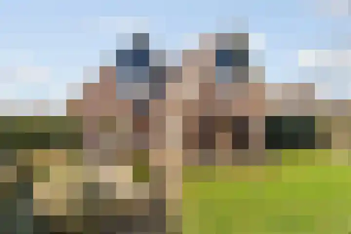Haver 6 Borne thumbnail 21
