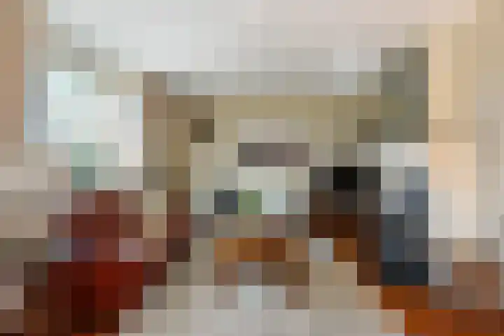 Haver 6 Borne thumbnail 9