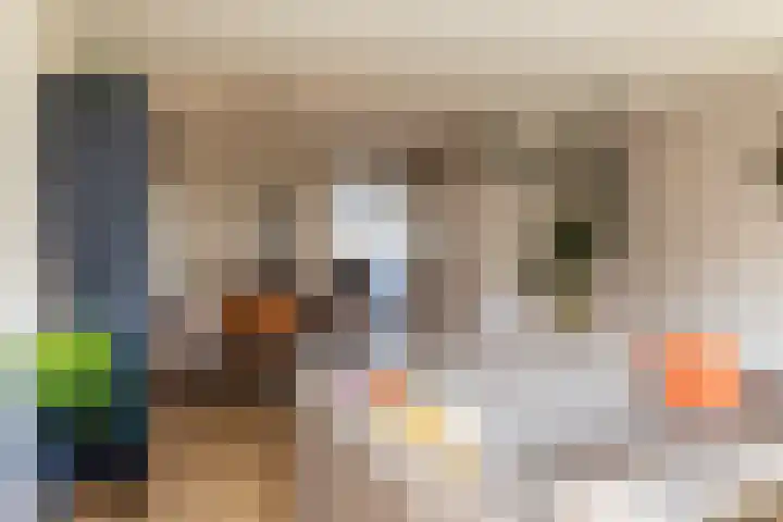 Haverkamp 6 Gendringen thumbnail 12